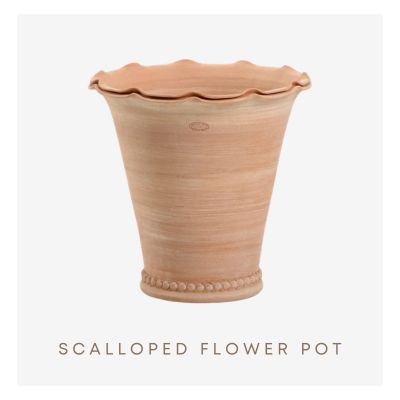 Scalloped Flower Pot