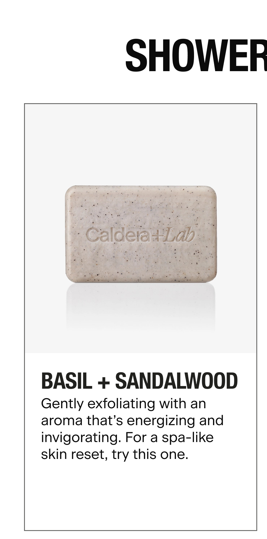 BASIL + SANDALWOOD