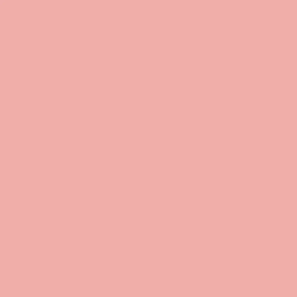 Image of Youthful Coral (6604)