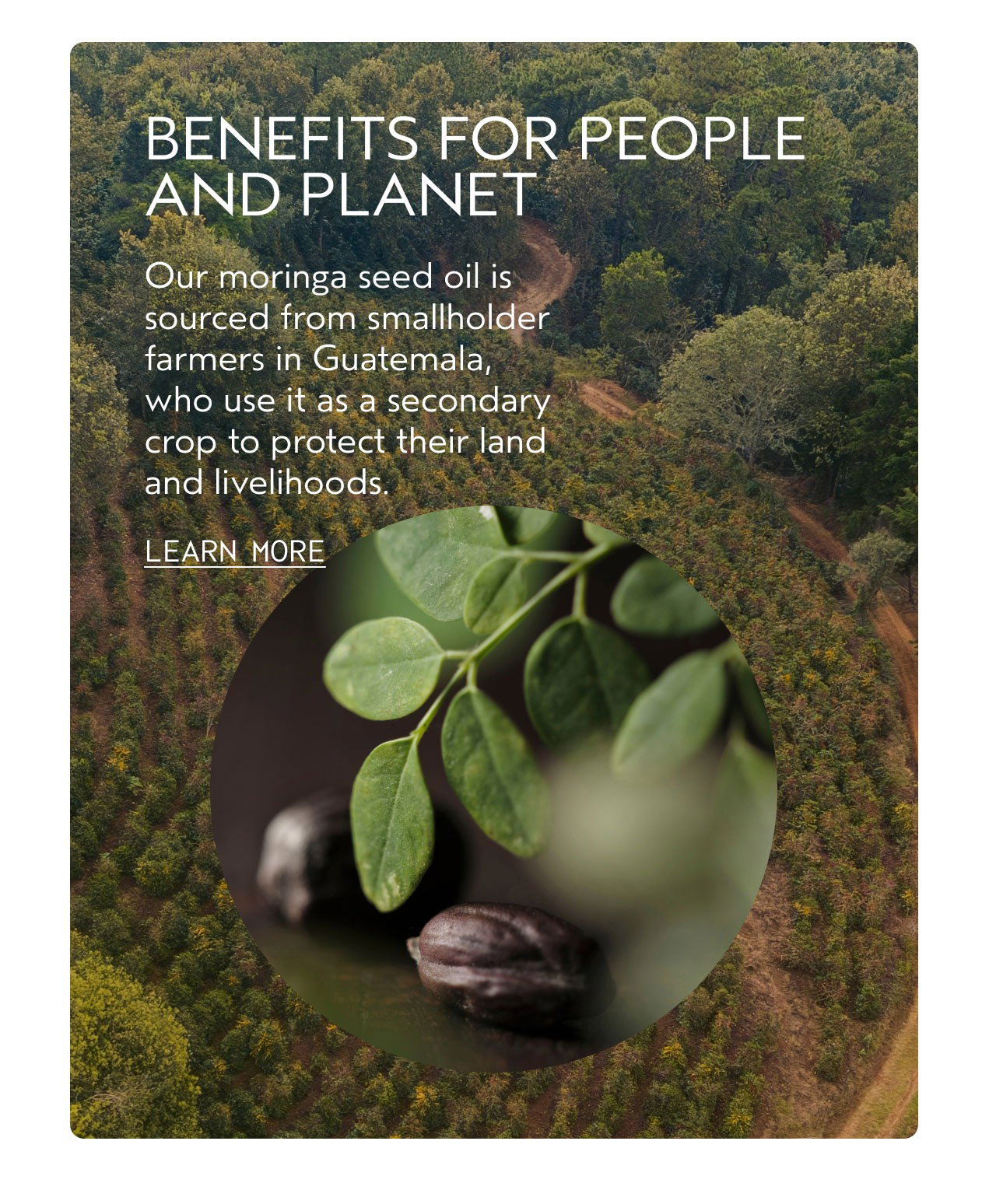 Benefits for people and planet 