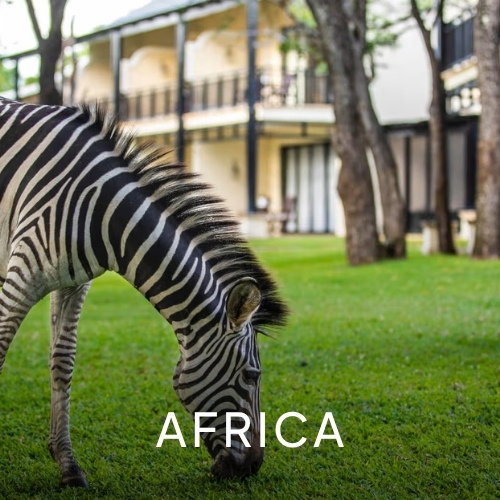 Africa
