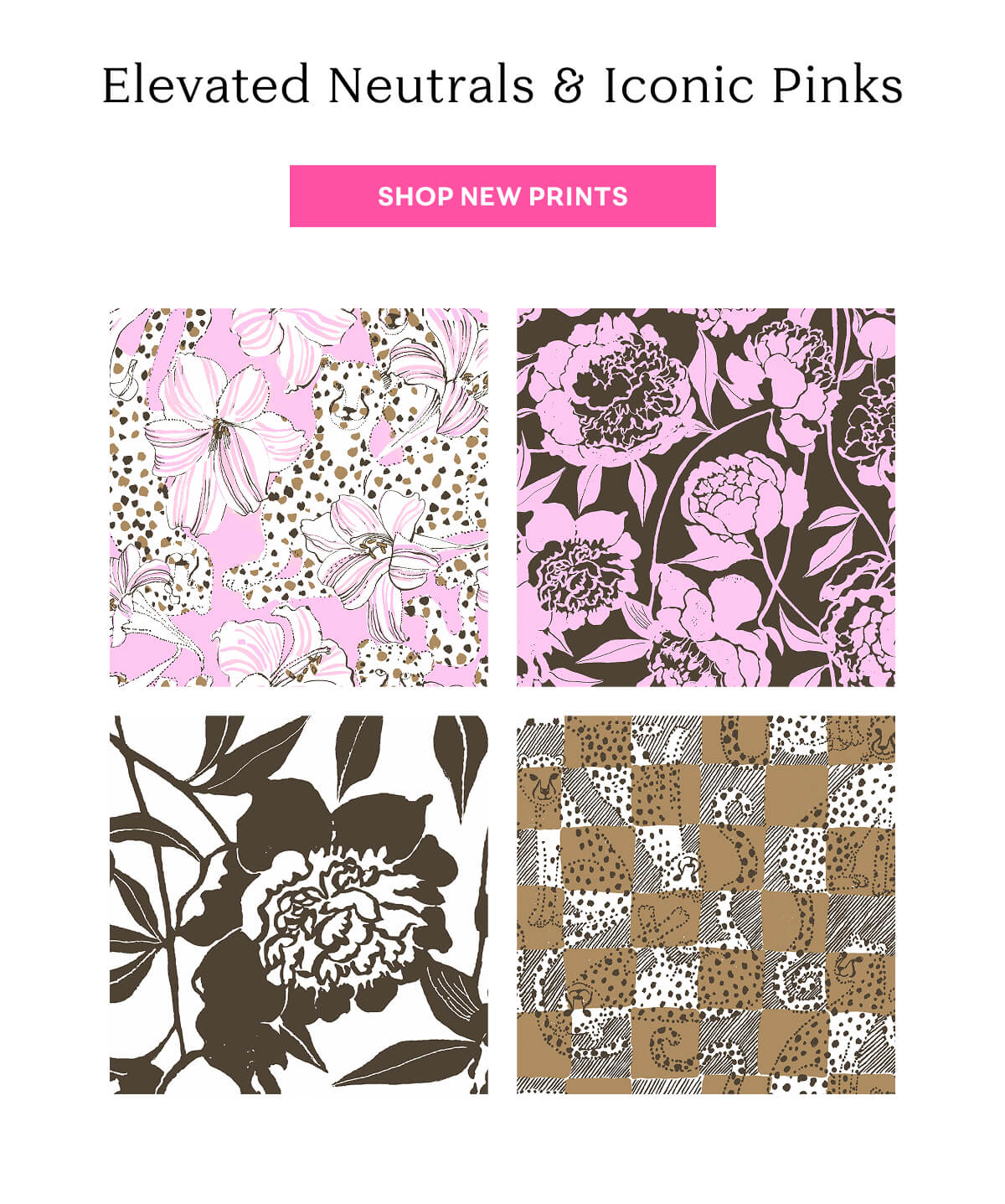 Shop New Prints