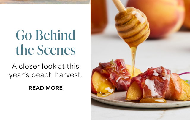 Go Behind the Scenes - A closer look at this year's peach harvest. Read More    