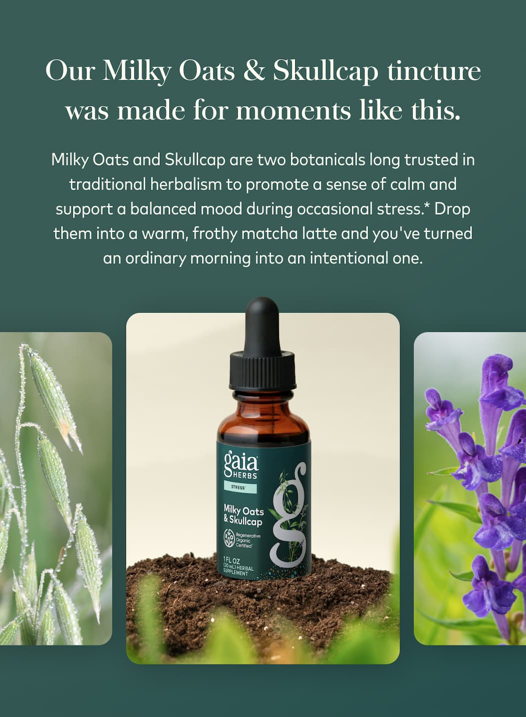 Milky Oats & Skullcap