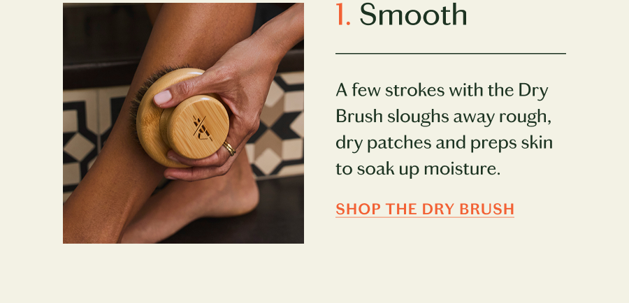 Shop The Dry Brush