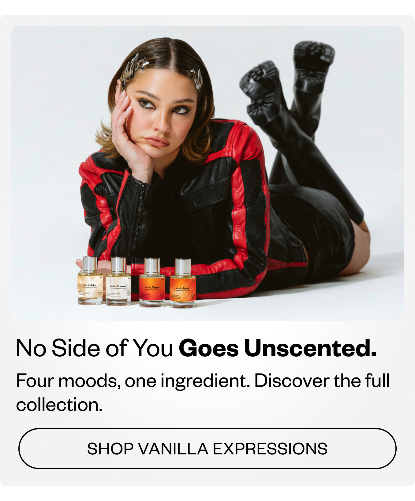 Shop Vanilla Expressions