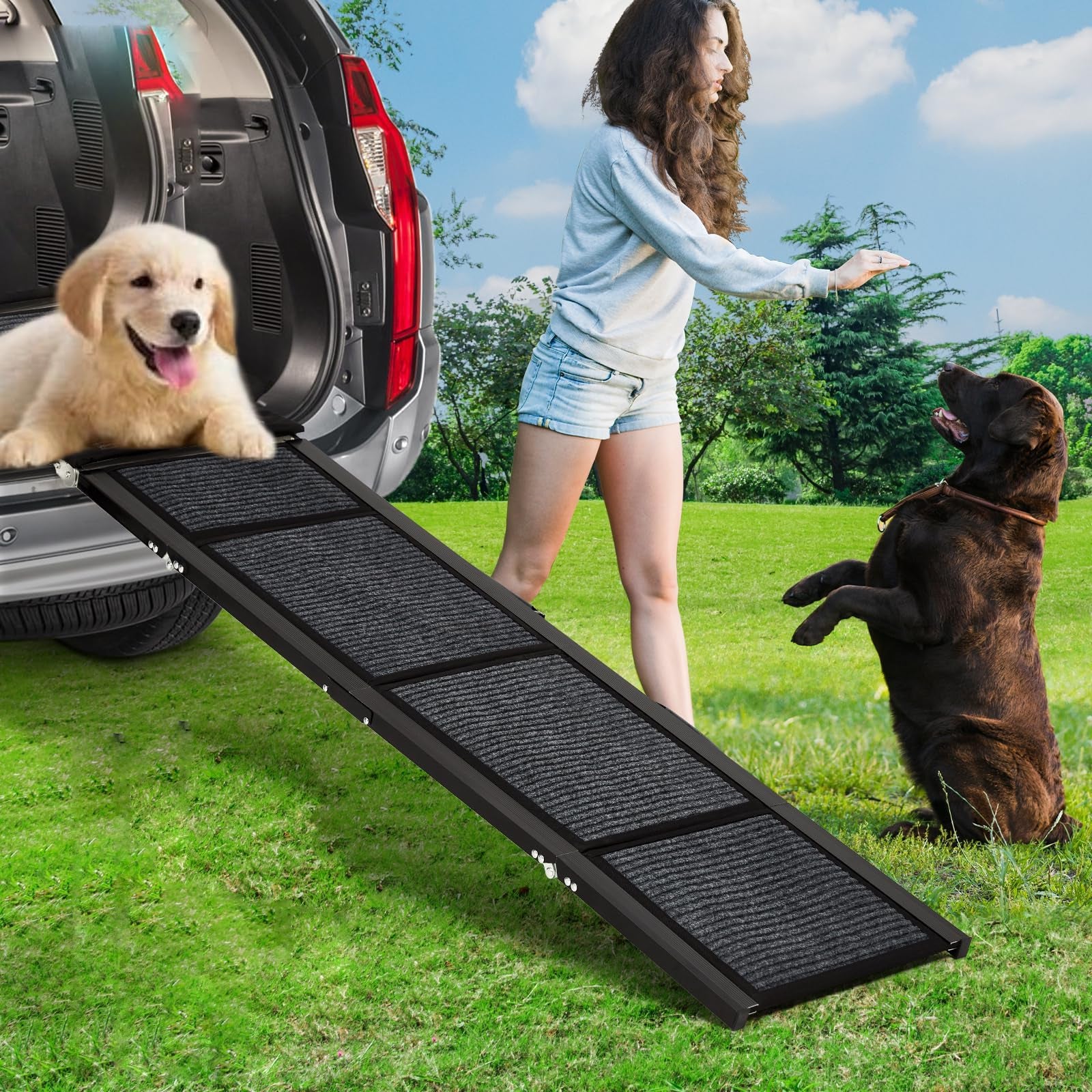 Image of Portable Dog Car Ramp