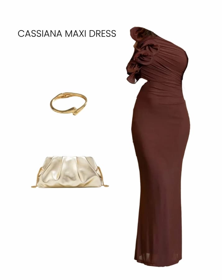 cassiana mesh maxi dress chocolate