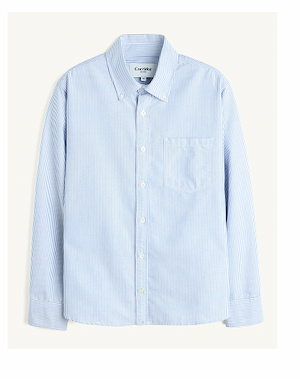 Stripe Oxford LS - Blue