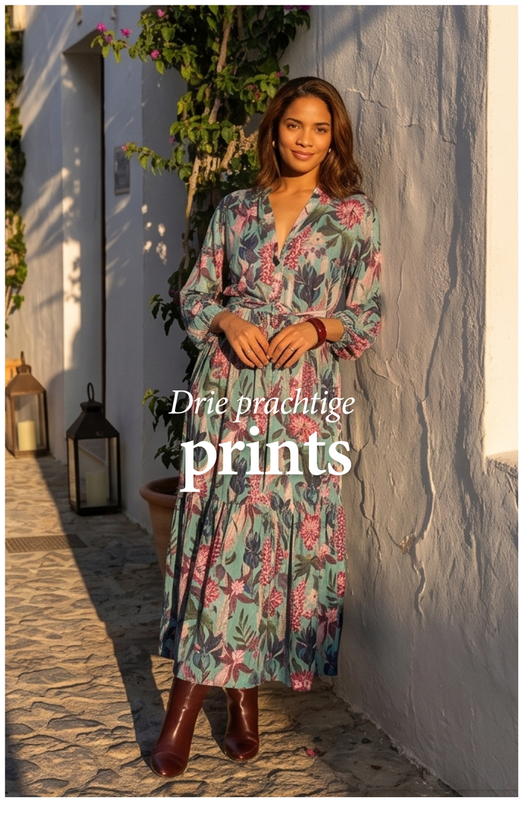Ontdek de collectie