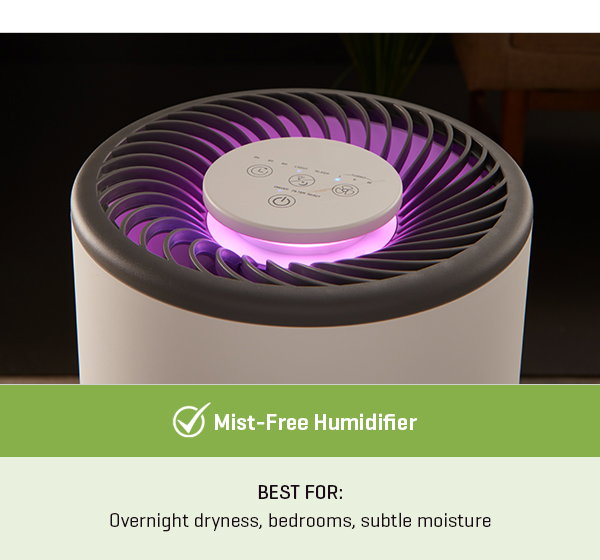 Mist-Free Humidifier