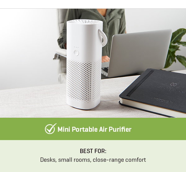 Mini Portable Air Purifier