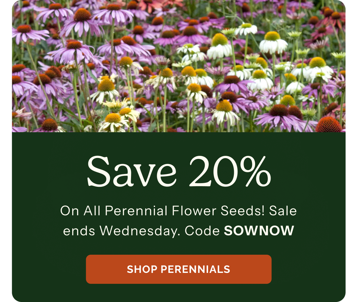 Save 20% on All Perennial Flower Seeds! Sale ends Wednesday. Code SOWNOW