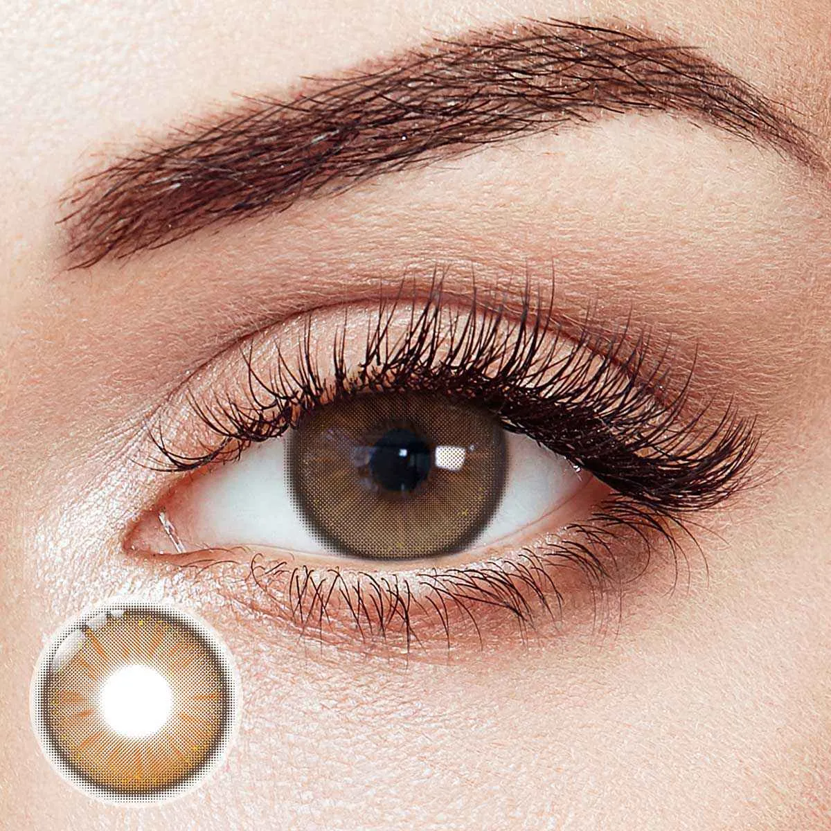 Endorphin Brown 6 Months Contact Lenses | 2 Pcs