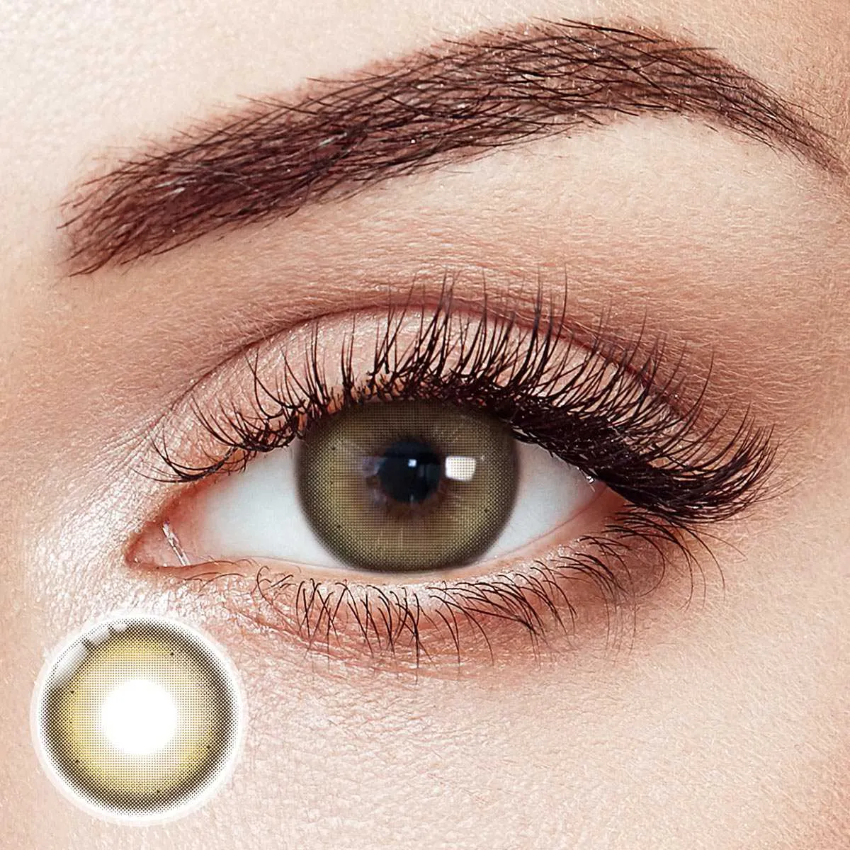Gorgeous Brown 6 Months Contact Lenses | 2 Pcs