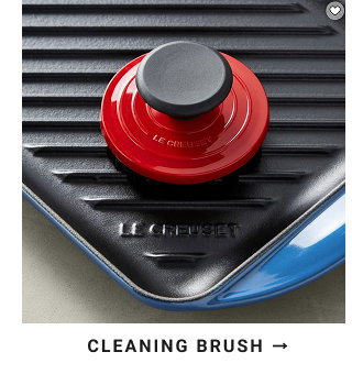 cleaning brush