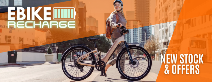 Shop Reid eBikes