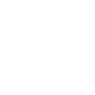 Check Box Icon