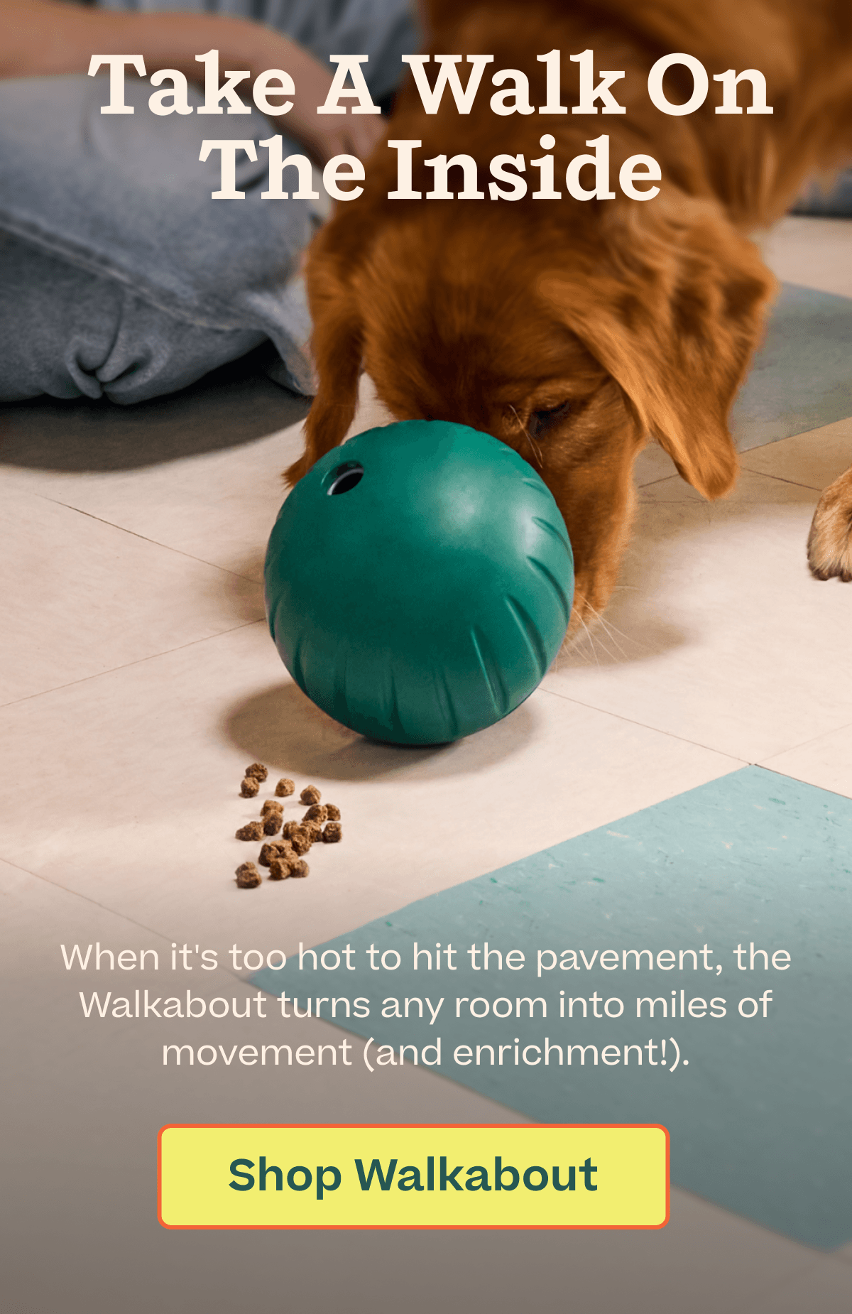 Talk a walk on the inside. When it's too hot to hit the pavement, the Walkabout turns any room into miles of movement (and enrichment!). Shop the Walkabout