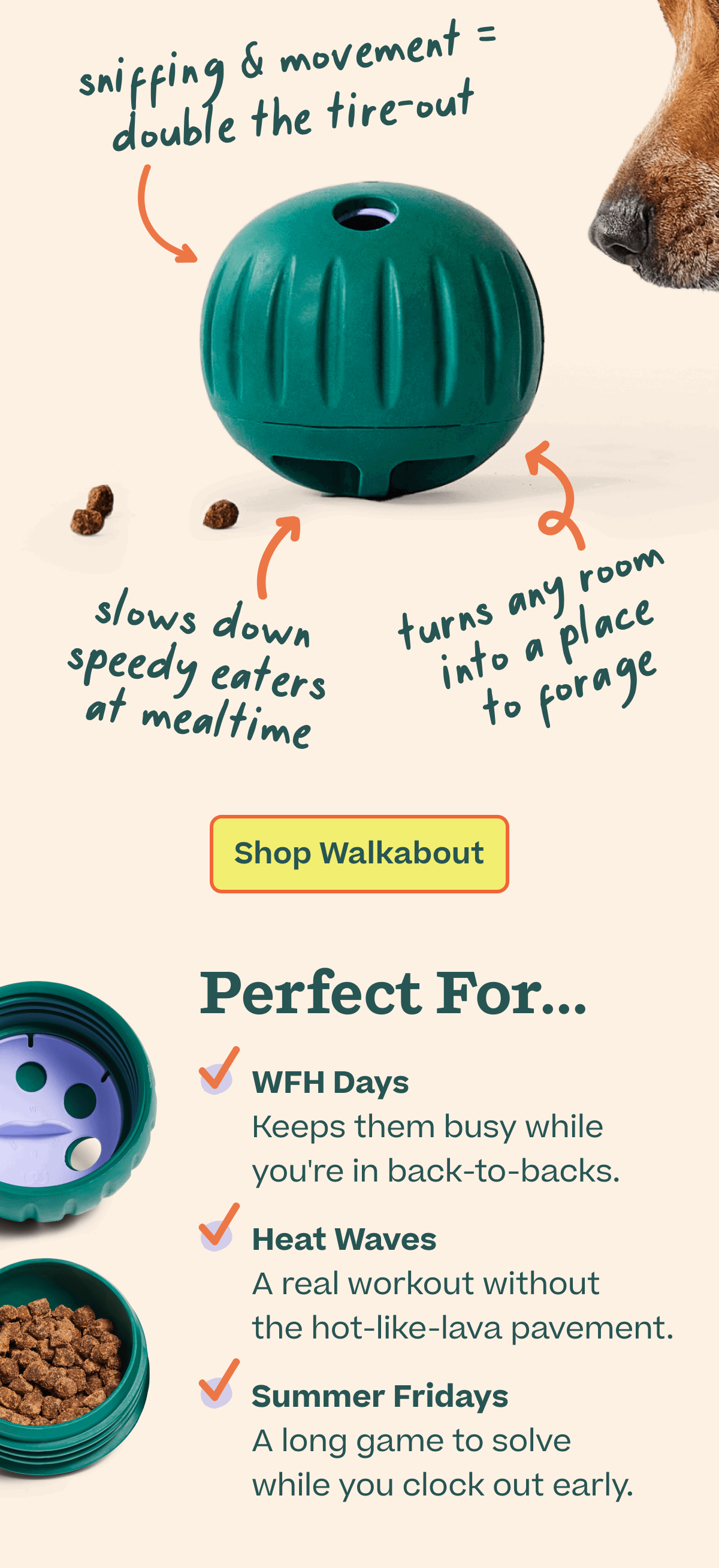 Shop the Walkabout