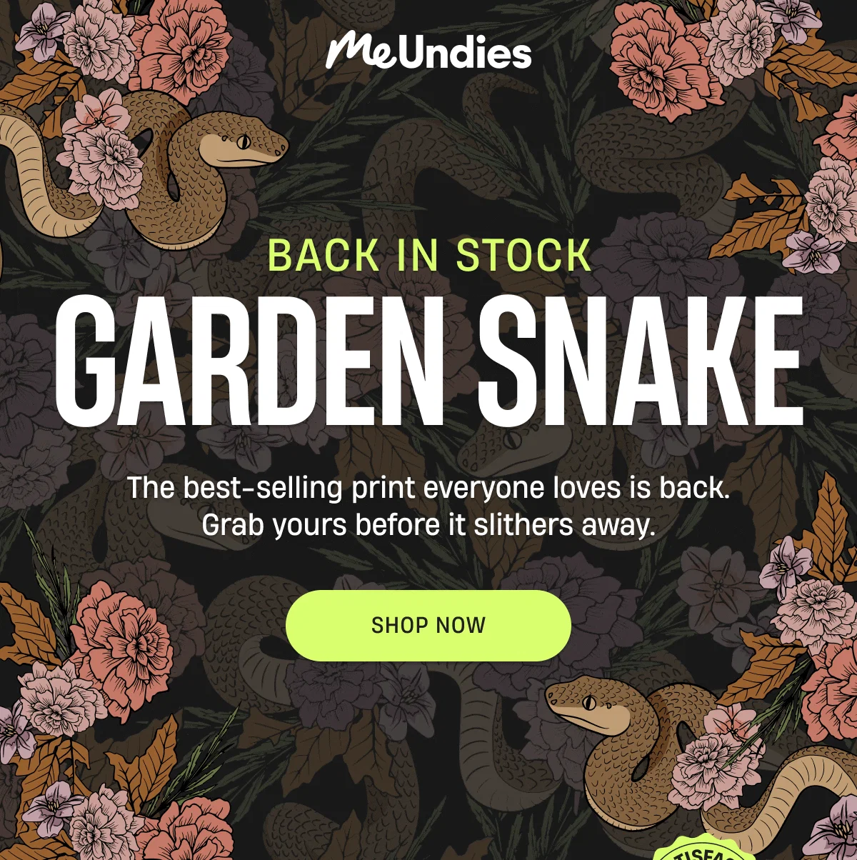 MeUndies | Back In Stock Garden Snake | Shop Now