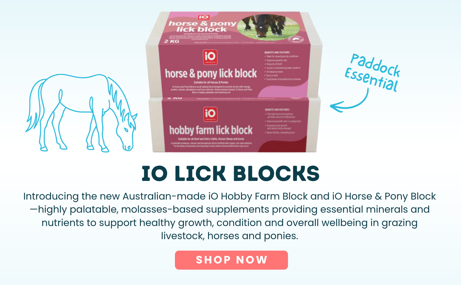 iO lick Blocks