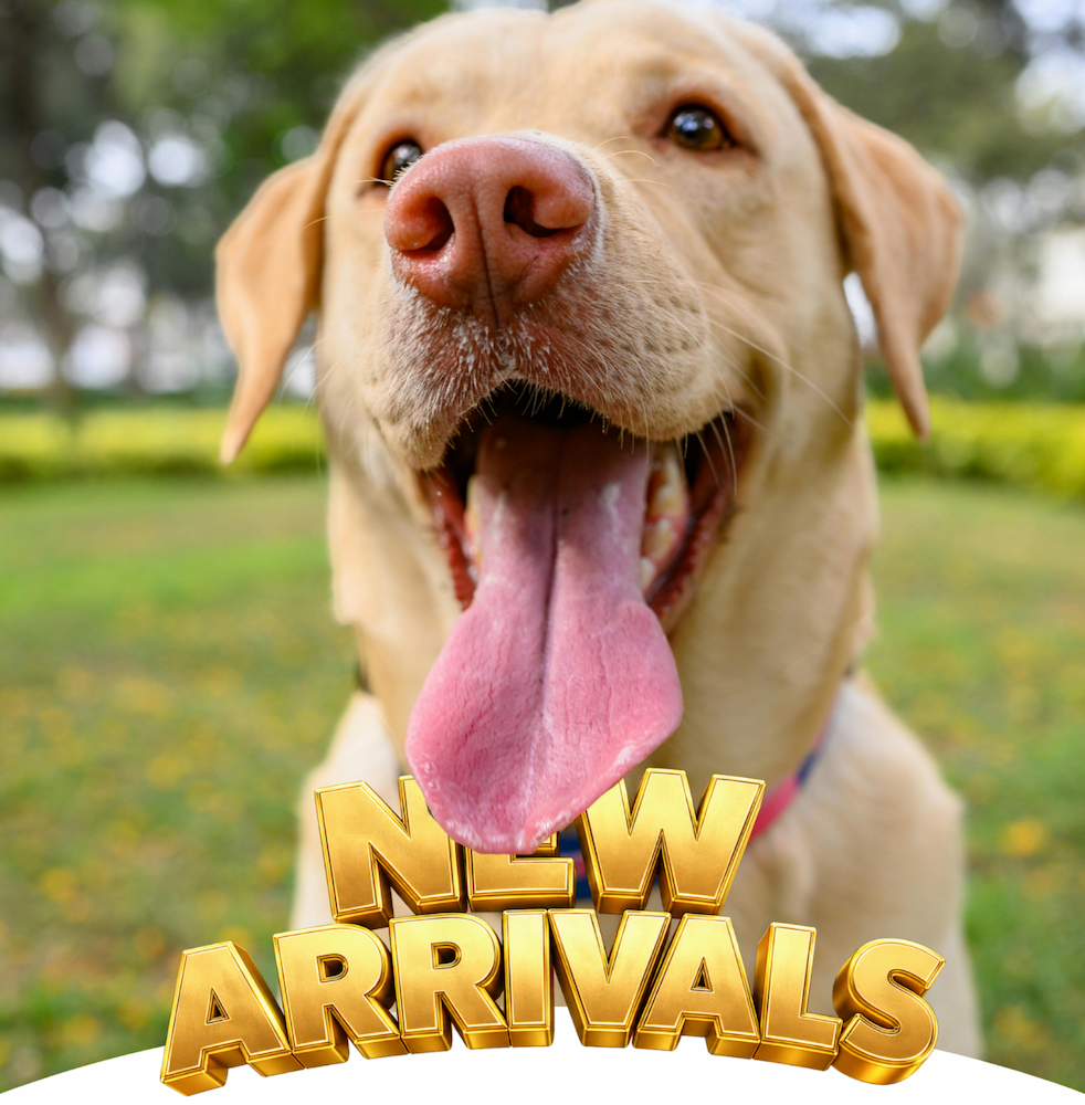 JULY New Arrivals!