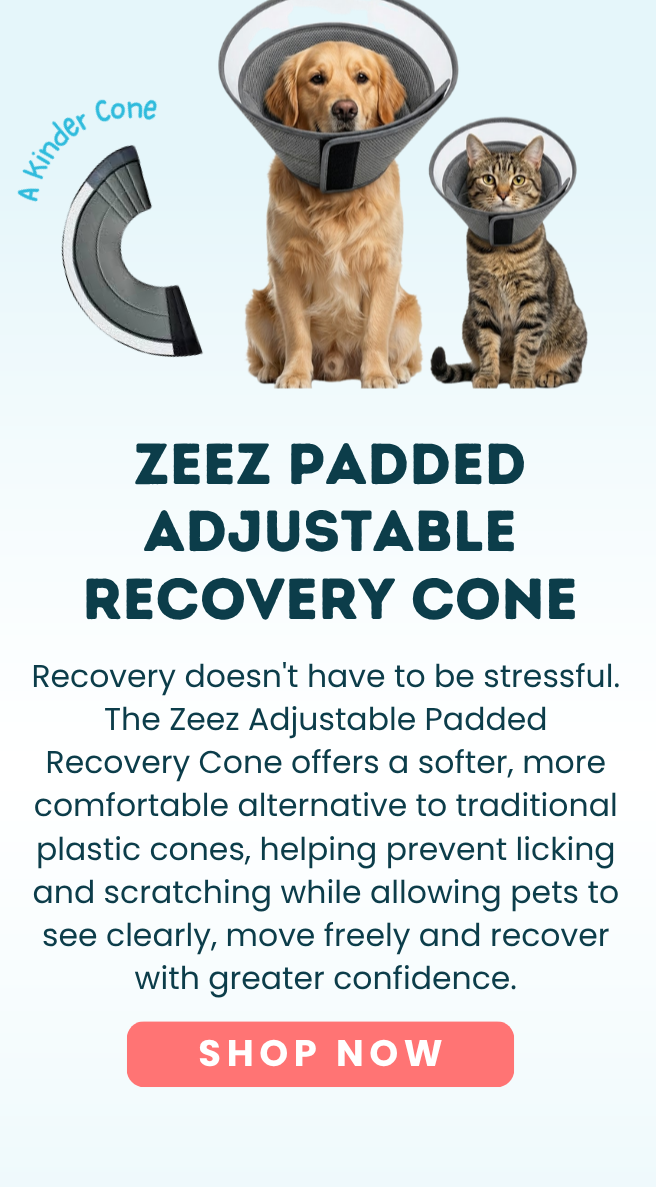 Zeez Padded Adjustable Recovery Cone