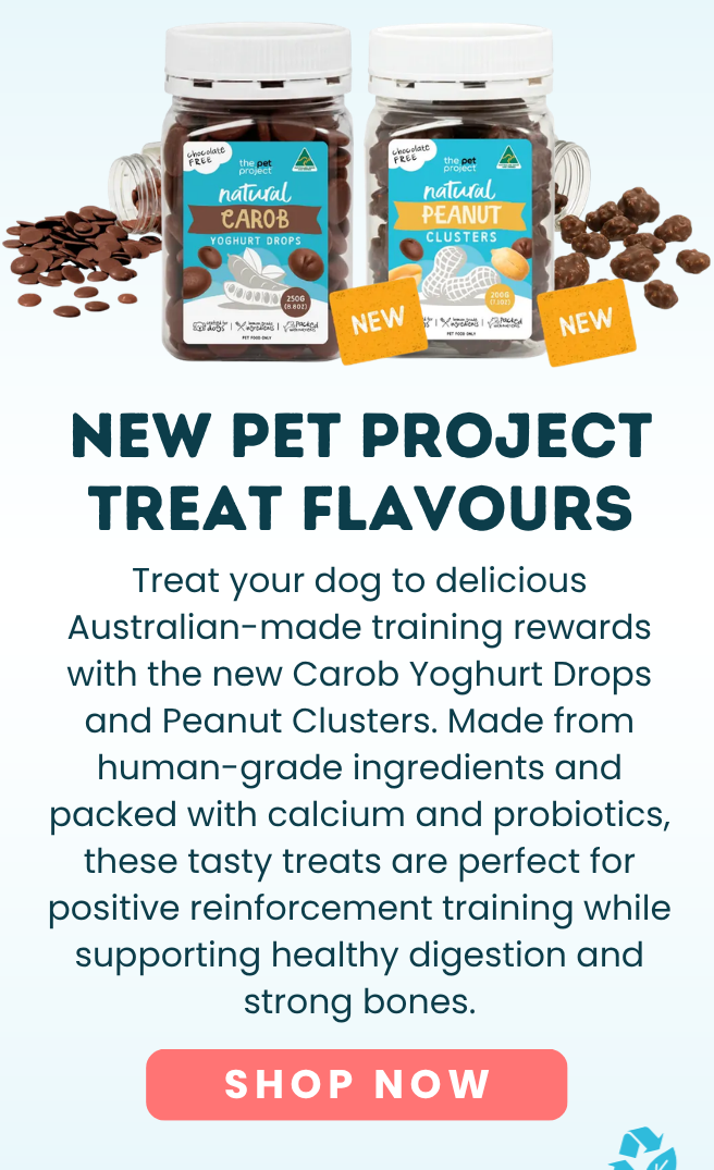 Pet Project