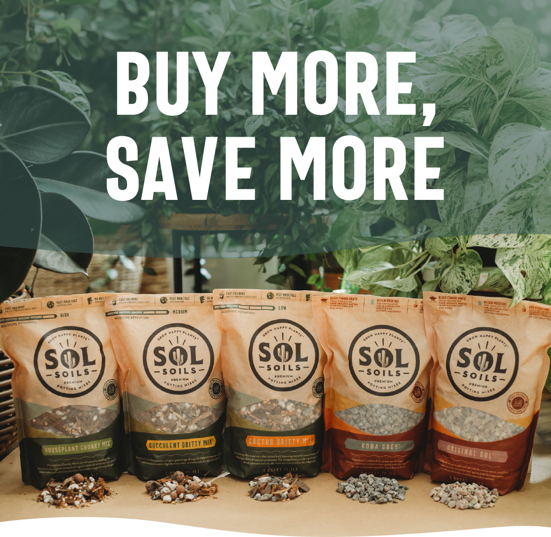 Five Sol Soils potting mix bags (Houseplant Chunky Mix, Succulent Gritty Mix, Cactus Gritty Mix, Kona Grey, and Original Sol) lined up on a tan surface with small piles of their soil contents in front, set against a backdrop of leafy green potted plants. Bold white text overlaid at top reads "BUY MORE, SAVE MORE."