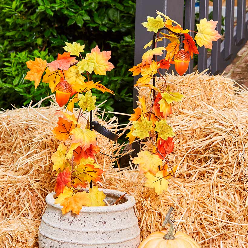 Image of Solar Acorn Stakes Set of 2