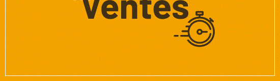 Ventes flash