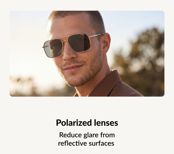 Polarised lenses