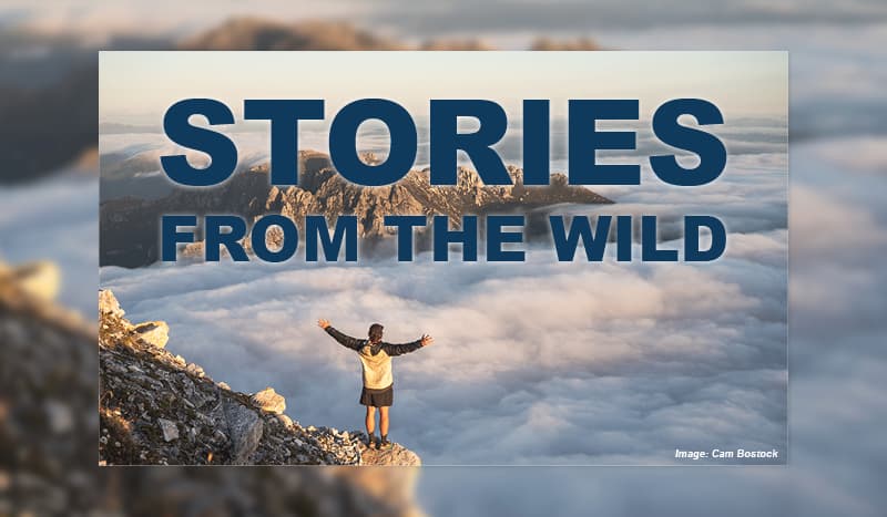 Check out our Adventure Blogs
