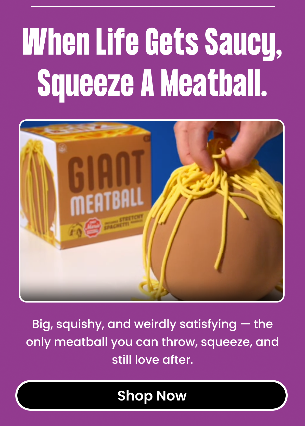 Giant Meatball Stress Ball