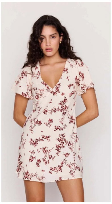 Cream Floral Toile Mini Dress