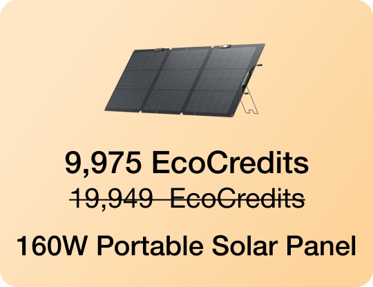 9,975 EcoCredits 19,949 EcoCredits 160W Portable Solar Panel