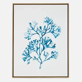 Humble & Mash Framed Portrait Staghorn Coral Canvas Wall Art, 80cm x 60cm