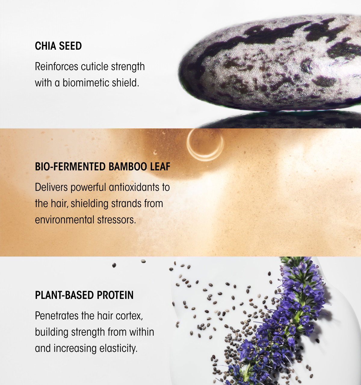 DISCOVER HAIR ALCHEMY.