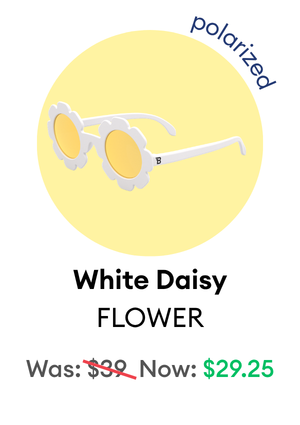 White Daisy Flower