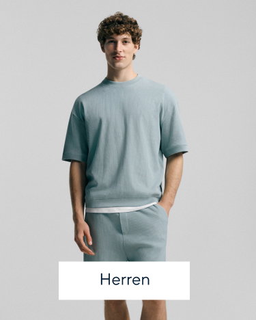 Herren