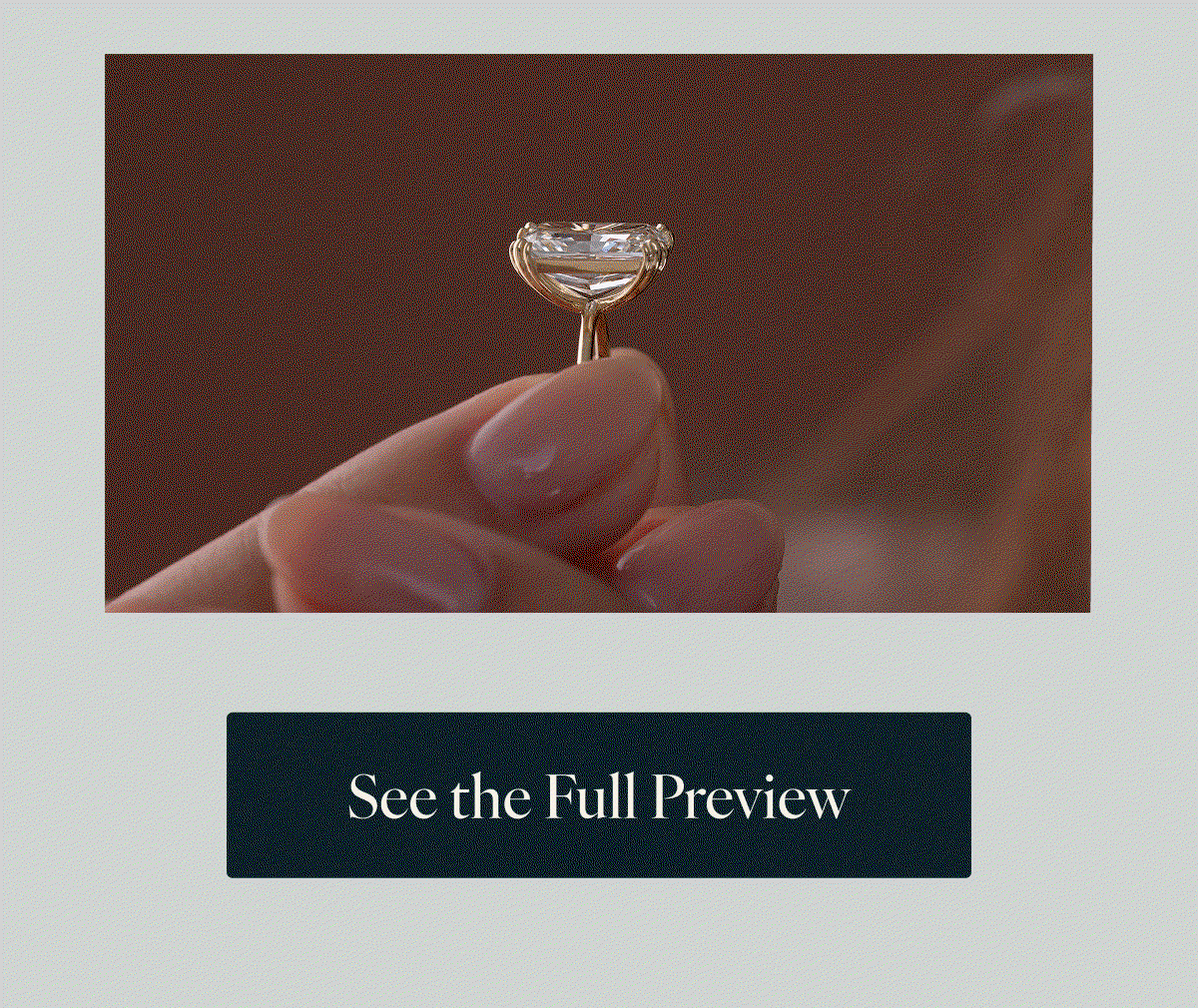 See the Full Preview