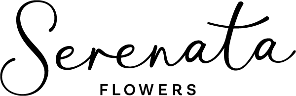 Serenata
