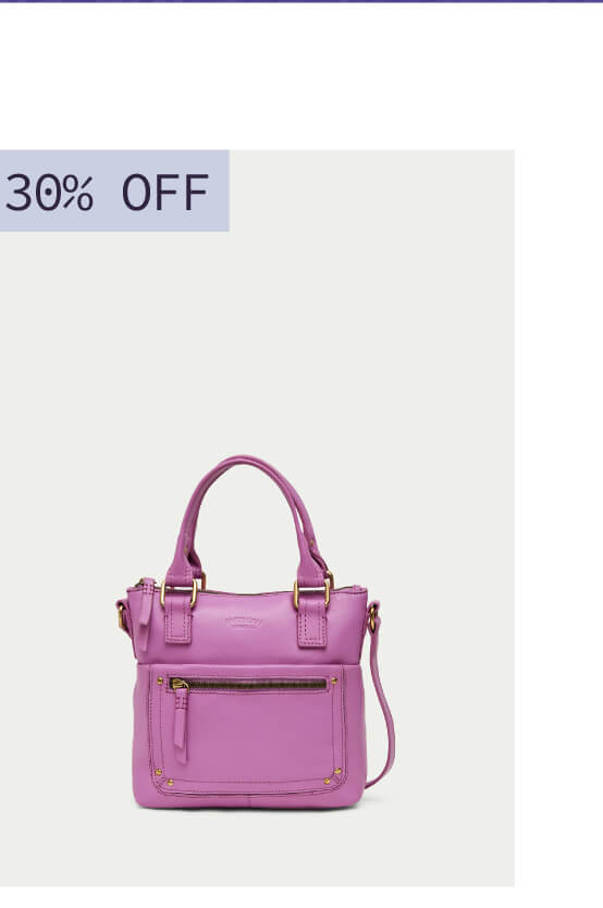 Jamestown Mini Tote Crossbody