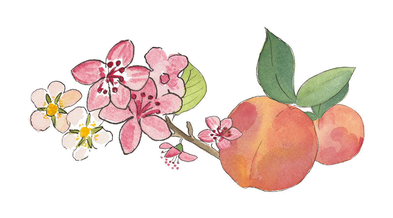 Shop Peach Blossom