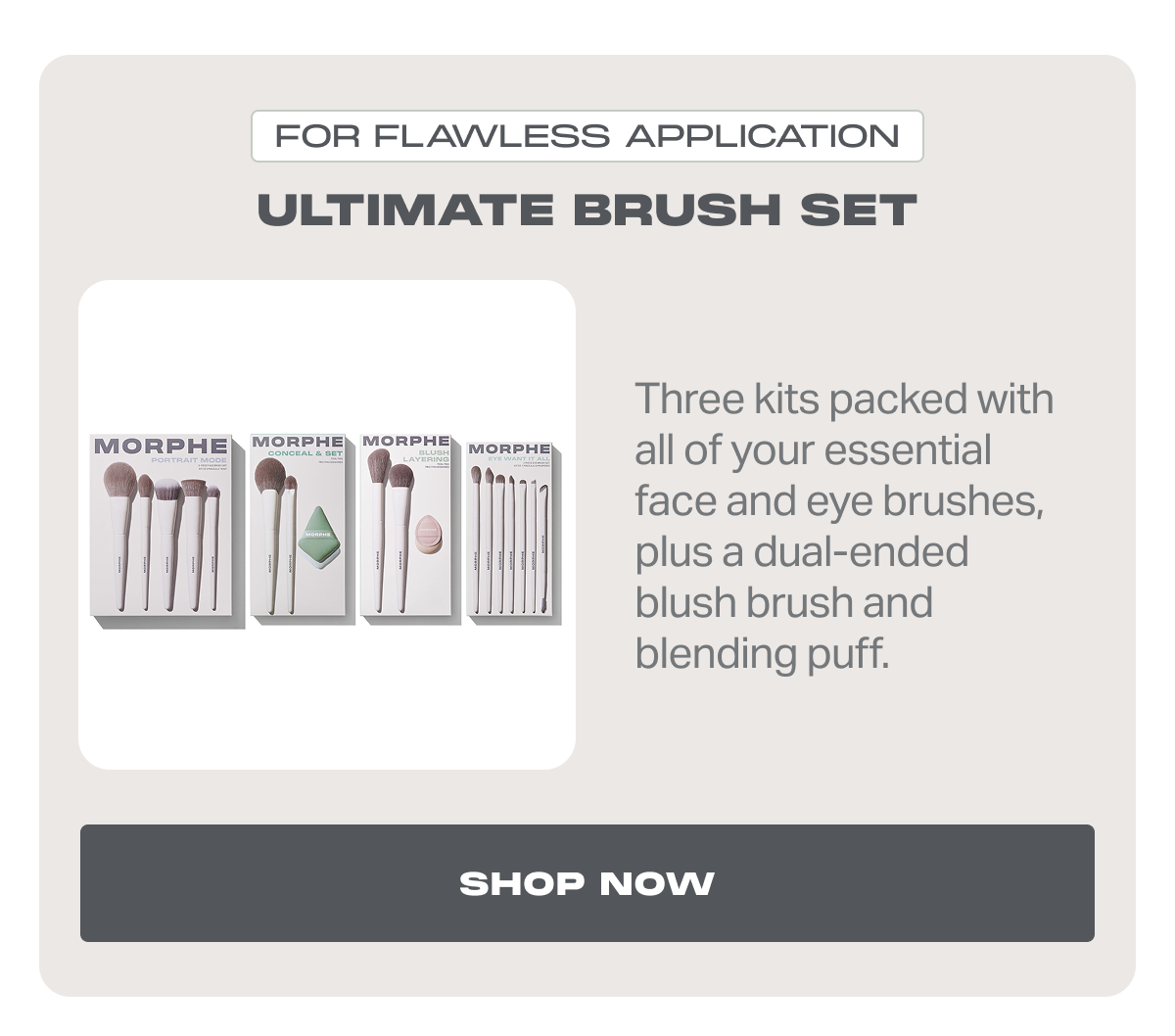 ULTIMATE BRUSH SET