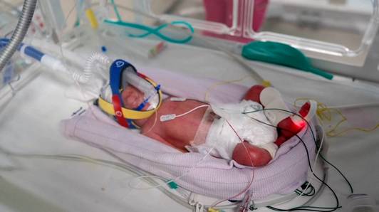 KIJK. Australisch koppel verwacht nakomertje, maar ontdekt grote verrassing: “Ik telde op de echo niet één, maar vier baby’s”