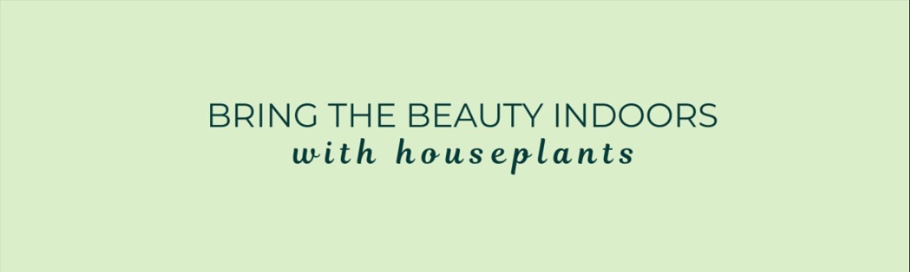 BRING THE BEAUTY INDOORS WITH HOUSEPLANTS