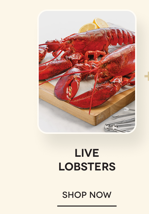 Live Lobsters SHOP NOW