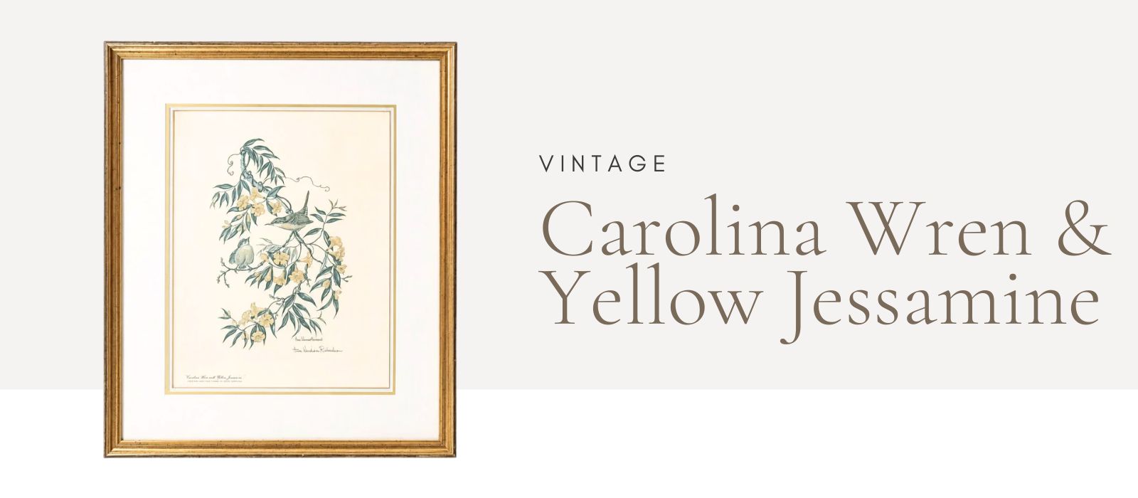 Vintage Carolina Wren & Yellow Jassamine